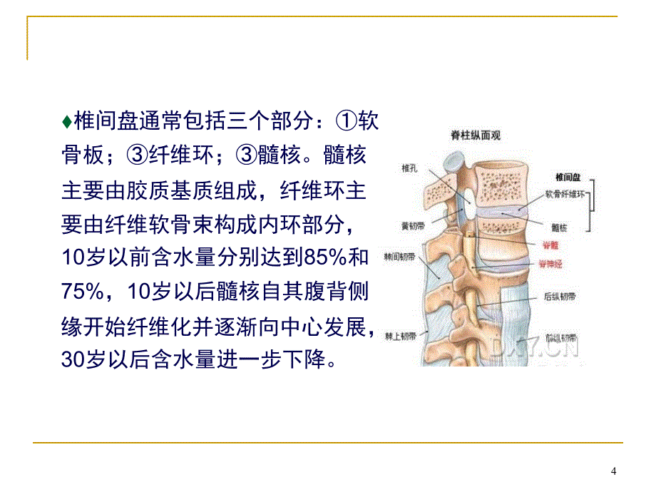 优质课件腰椎间盘突出症的针灸治疗演示_第4页