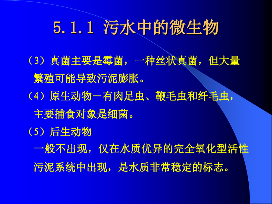 污水的好氧生物处理_第2页