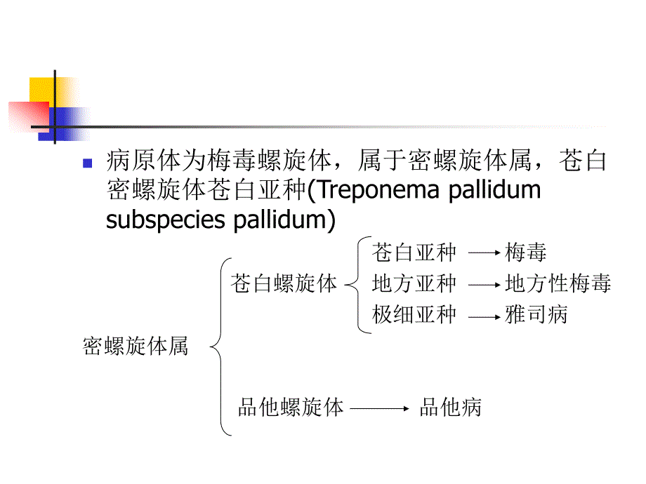 梅毒的实验室诊断_第4页