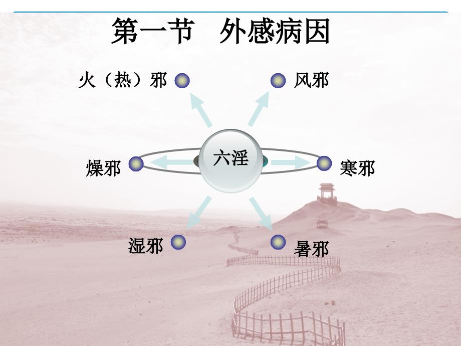 中医基础病因学说_第4页