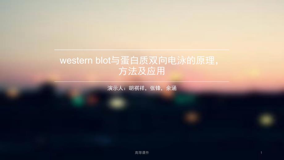 westernblot与蛋白质双向电泳的原理,方法及应用#高级教育_第1页