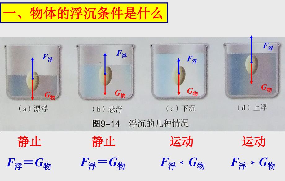 93研究物体的浮沉条件胡鑫民_第4页