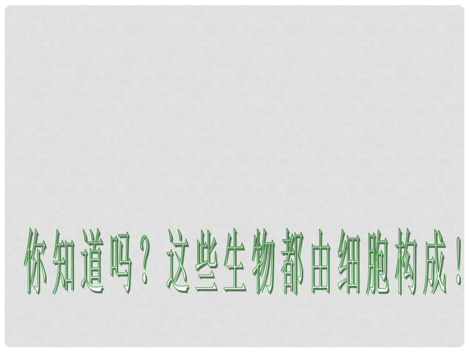 吉林省长市七年级生物上册 第二单元 第二章 第二节 动物体的结构层次课件2 （新版）新人教版_第2页