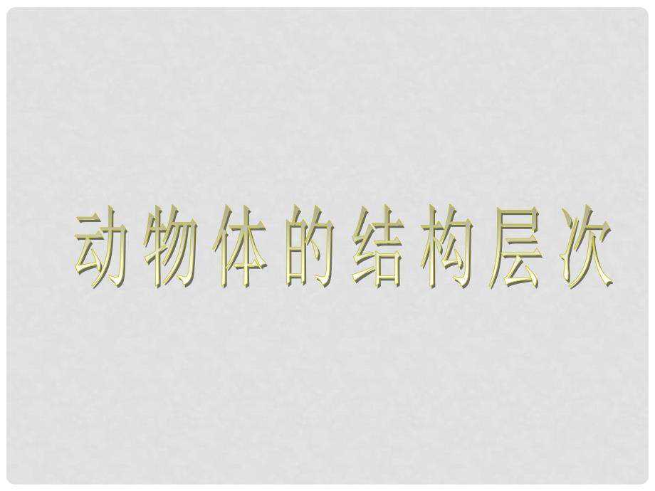 吉林省长市七年级生物上册 第二单元 第二章 第二节 动物体的结构层次课件2 （新版）新人教版_第3页