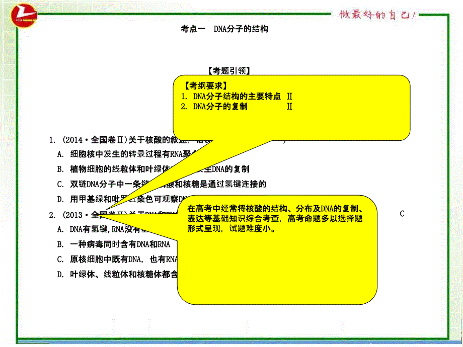 高三生物一轮复习DNA的结构和复制学案配套_第4页