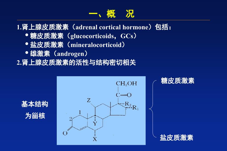 肾上腺皮质激素临床应用及注意事项.ppt_第2页