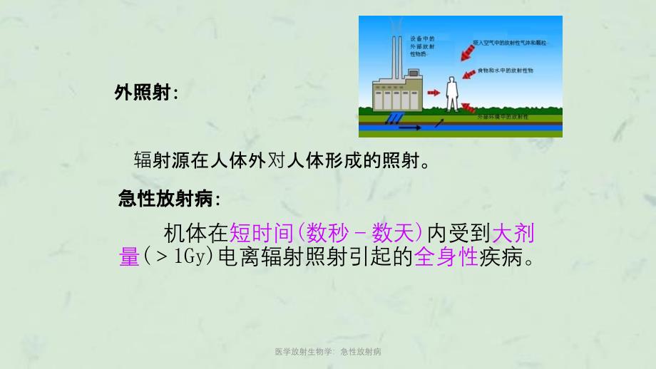 医学放射生物学急性放射病课件_第2页