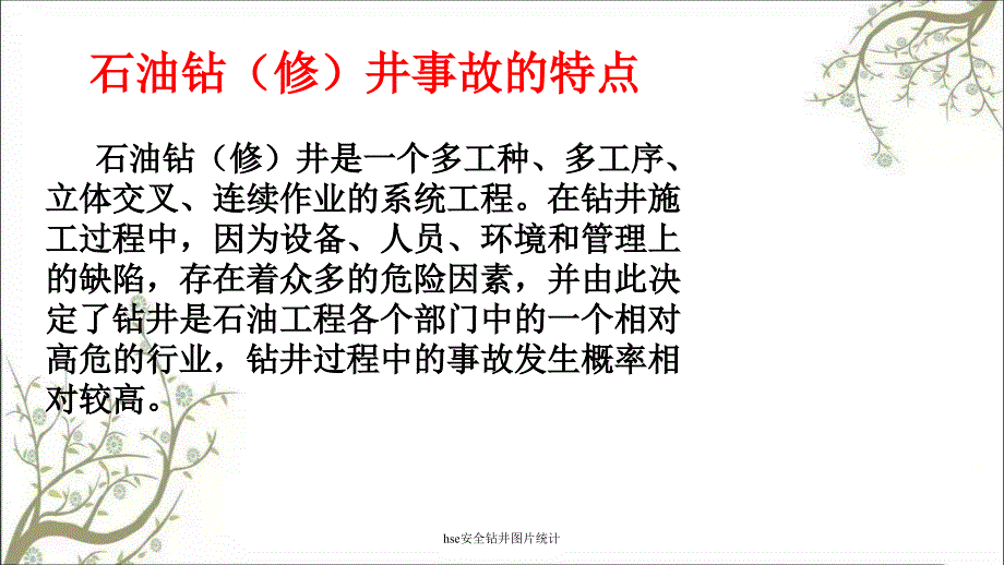 hse安全钻井图片统计PPT课件_第4页