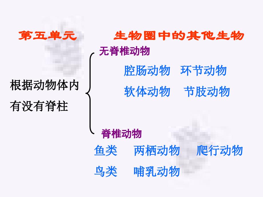 上册生物期末复习提纲初二生物_第1页