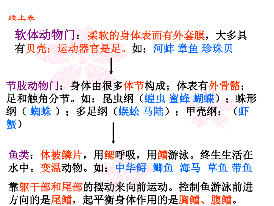 上册生物期末复习提纲初二生物_第4页