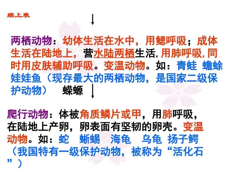 上册生物期末复习提纲初二生物_第5页