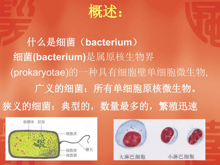 10细菌形态与结构文档资料_第1页