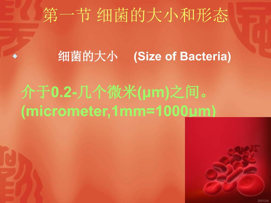 10细菌形态与结构文档资料_第2页