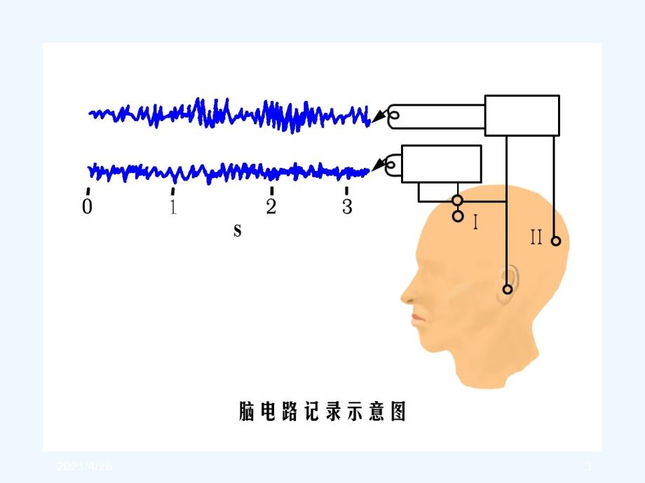 觉醒、睡眠与脑电活动_第3页