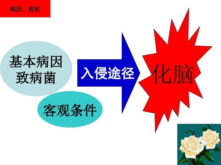 课件化脓性脑膜炎.ppt_第5页