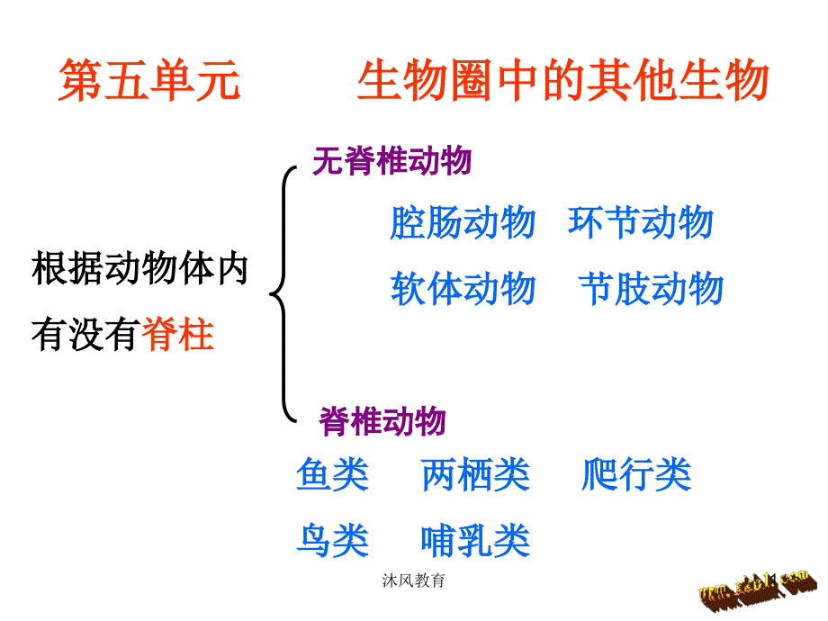 鲁教版生物八年级上册总复习谷风教学_第1页