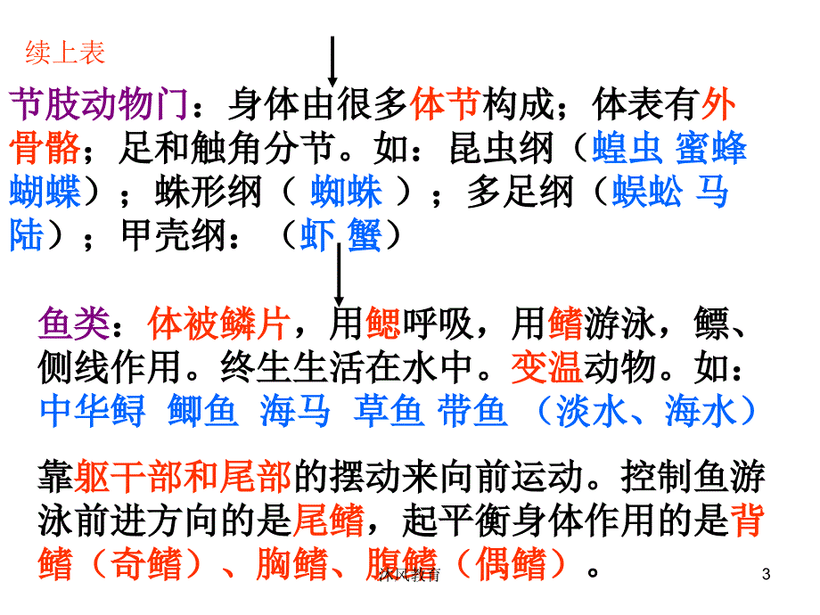 鲁教版生物八年级上册总复习谷风教学_第3页