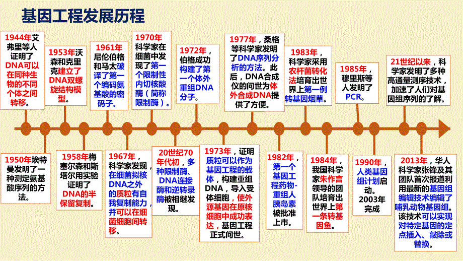 【高中生物】重组DNA技术的基本工具课件 2022-2023学年高二下学期生物人教版（2019）选择性必修3_第4页