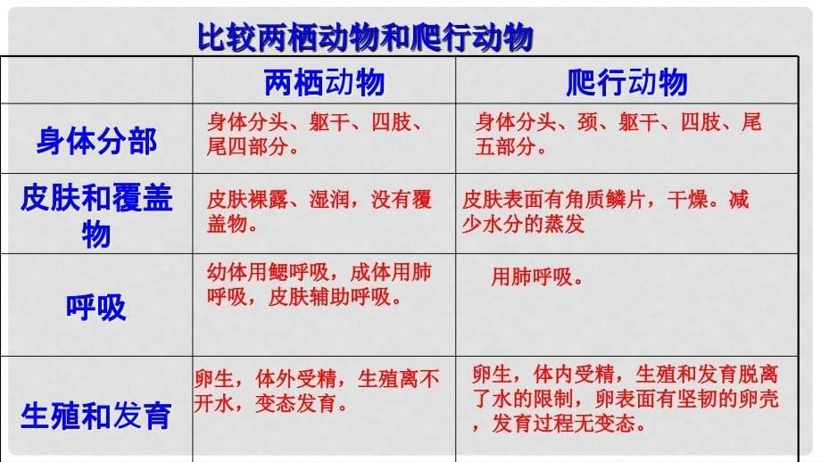 八年级生物上册 第五单元 第一章 第五节 两栖动物和爬行动物《爬行动物》课件 （新版）新人教版_第5页