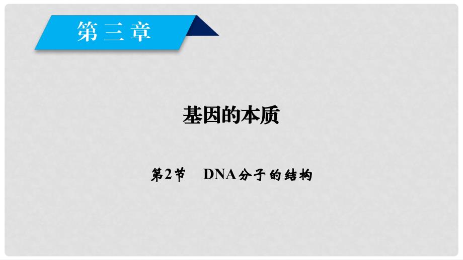 高中生物 第3章 基因的本质 第2节 DNA分子的结构课件 新人教版必修2_第2页