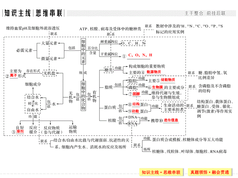 高三生物二轮复习专题一细胞的物质基础_第2页