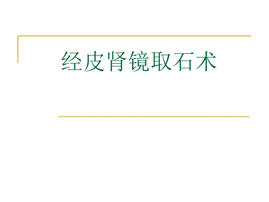 经皮肾镜技术_第1页