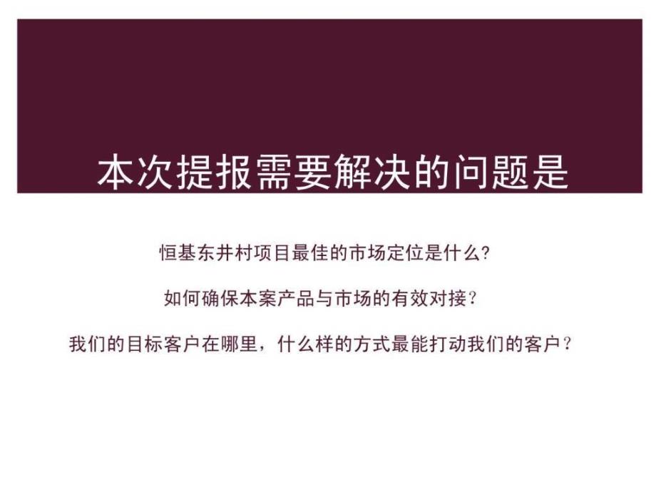 恒基南京东井村项目提报方案_第2页