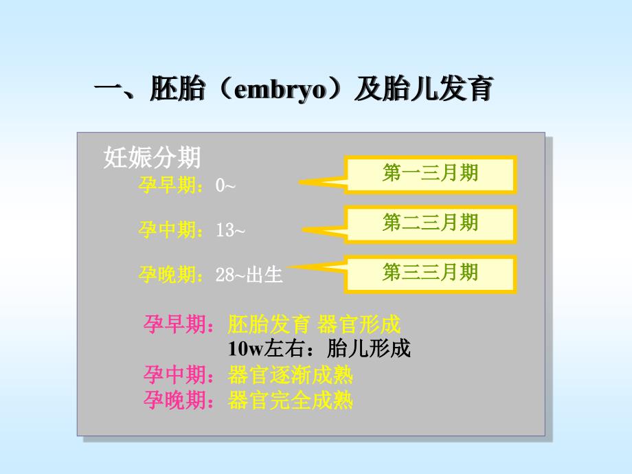 生化检验第十五章妊娠_第4页