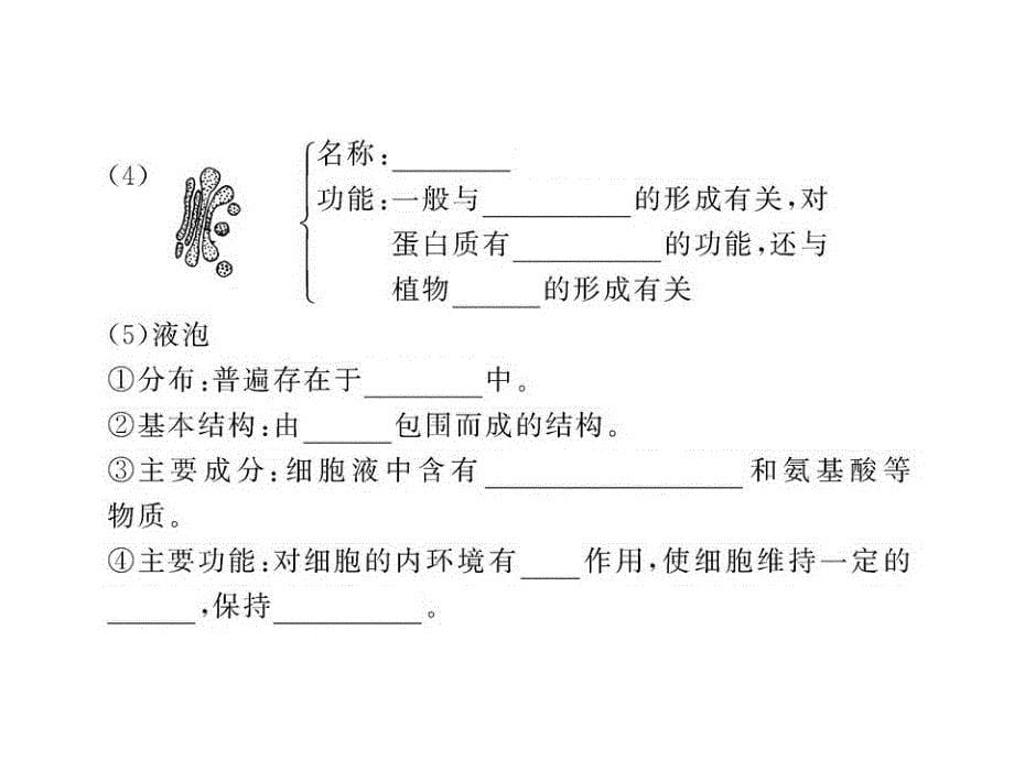 高一生物同步课件3.2.2细胞质和细胞器苏教版必修1_第5页