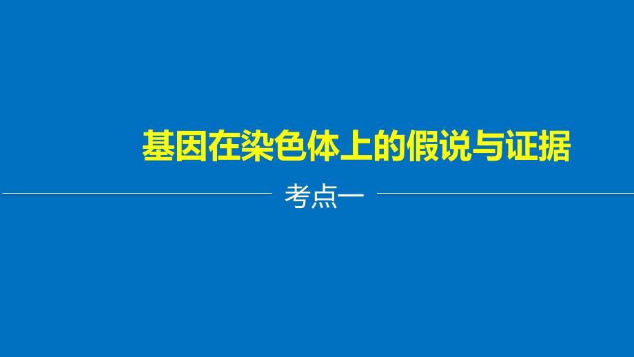 生物第5单元 遗传的基本规律 第18讲 基因在染色体上和伴性遗传_第4页