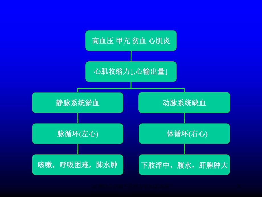 抗慢性心功能不全药专业知识讲座培训课件_第3页