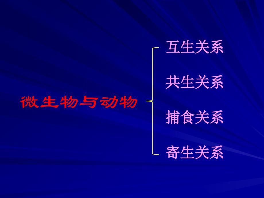 普通微生物学普通微生物学 (29)_第2页