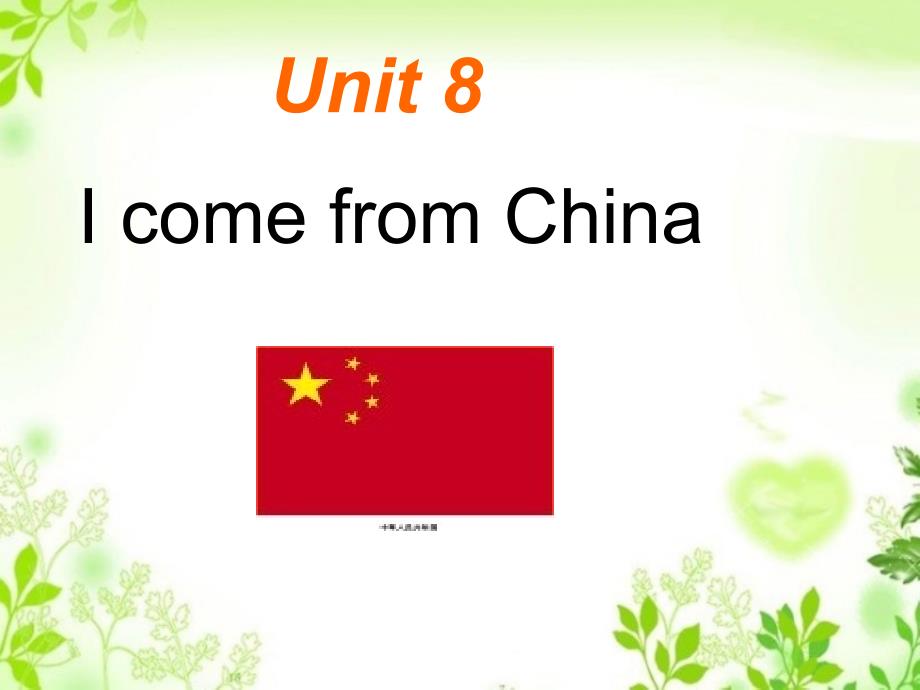 Unit9IcomefromChina课件4_第3页