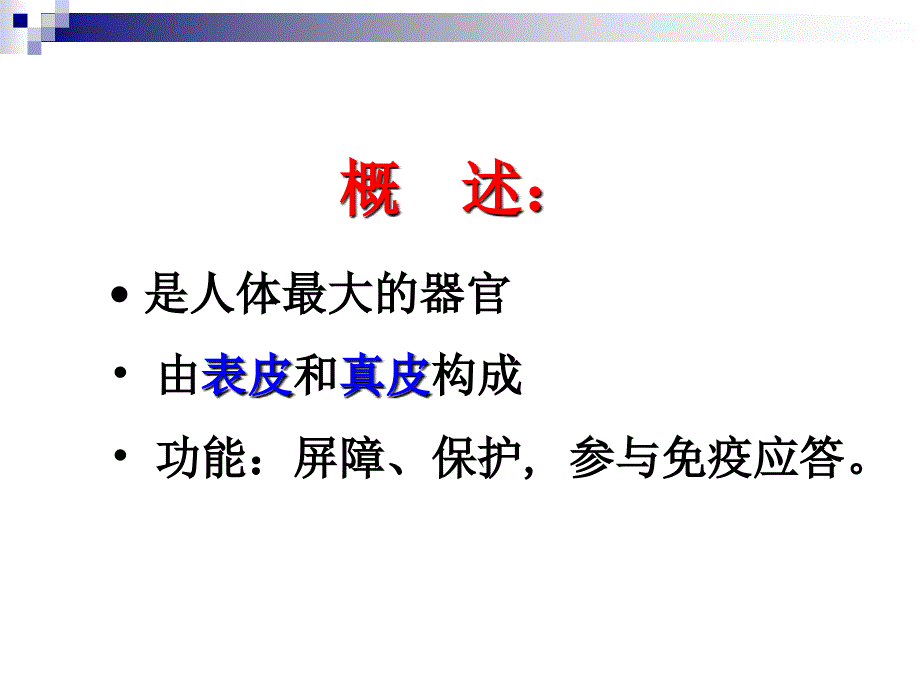 组织学与胚胎学刘芬第9章皮肤芬课件_第3页