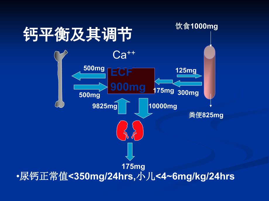 甲状旁腺功能亢进症课件_第4页