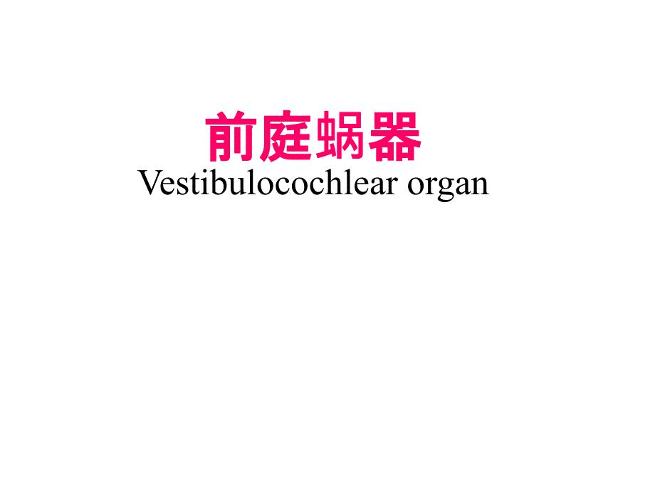 人体解剖学：26前庭蜗器_第1页