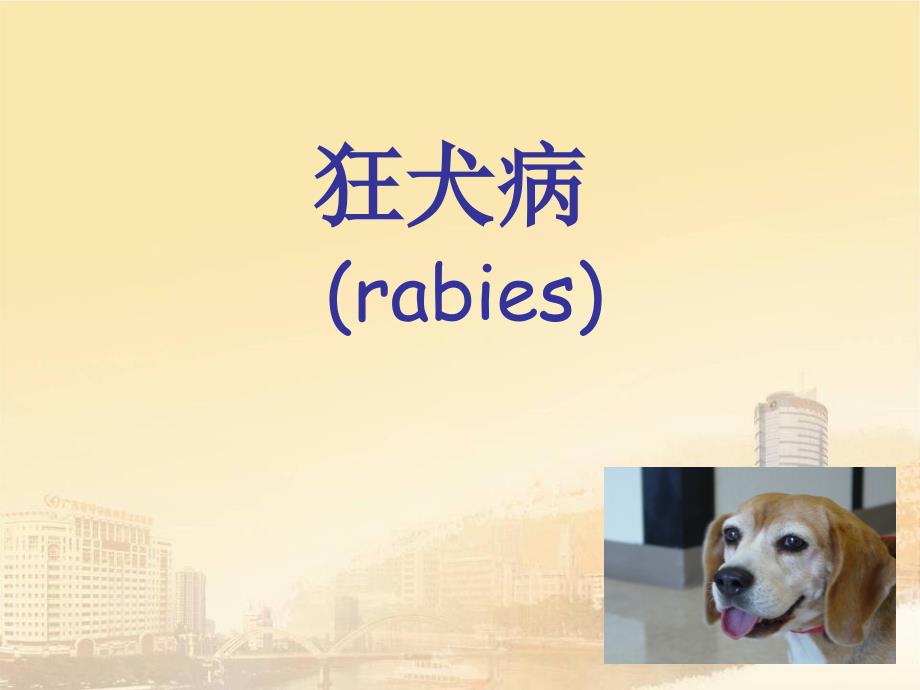 传染病学：狂犬病_第1页