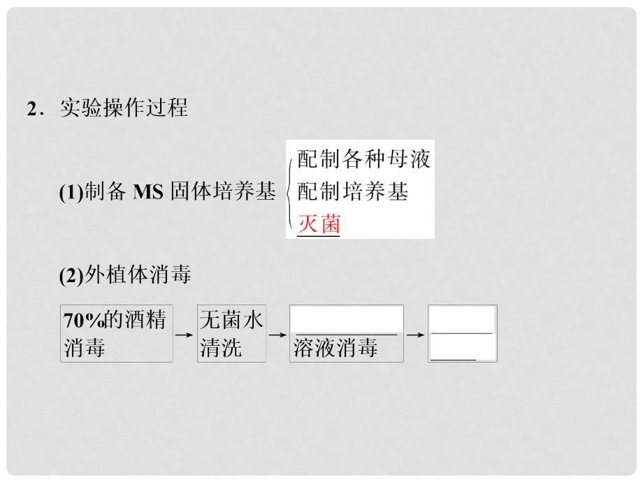 高考生物大一轮总复习 第三讲 植物的组织培养和酶的研究与应用课件 新人教版选修1_第3页