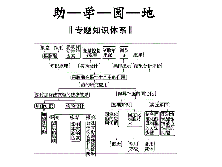 专题4 酶的研究与应用专题整合_第2页