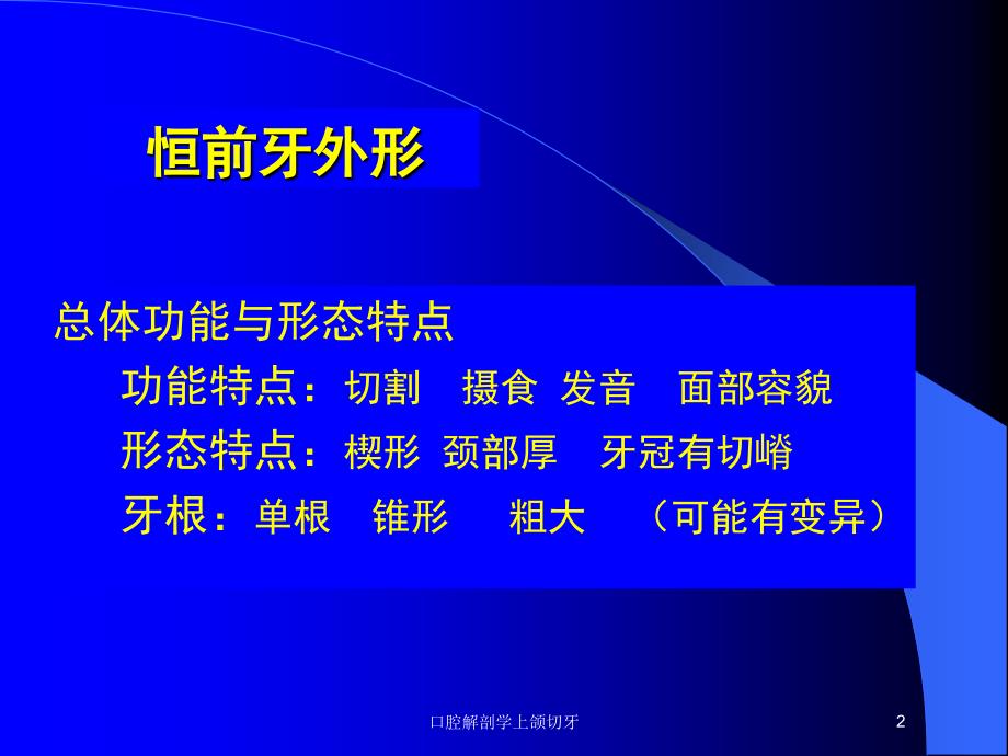 口腔解剖学上颌切牙培训课件_第2页