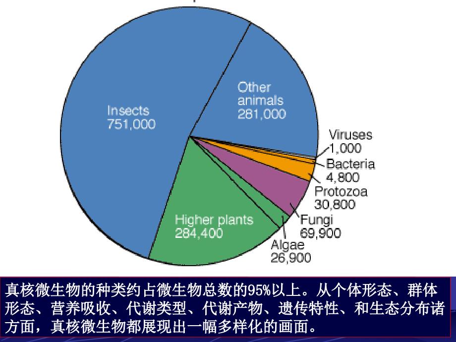 普通微生物学普通微生物学 (7)_第3页