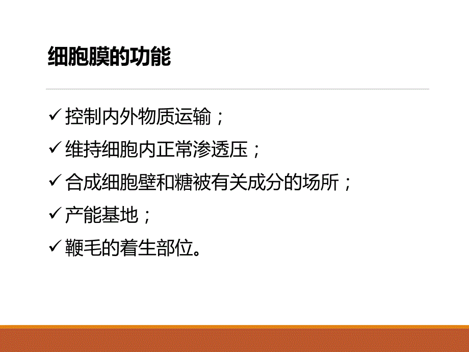 普通微生物学普通微生物学 (3)_第3页