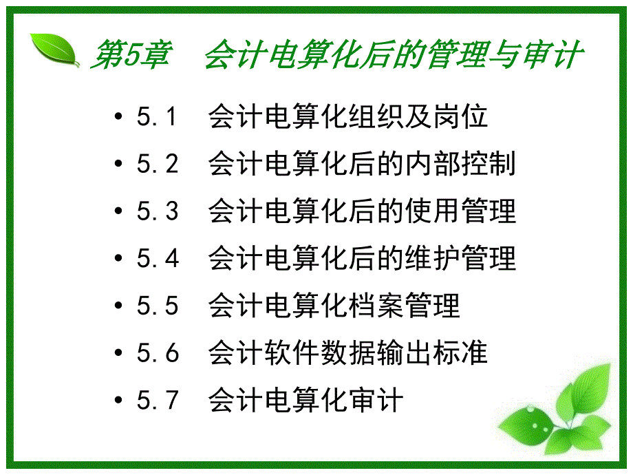 会计电算化后的管理与审计_第3页