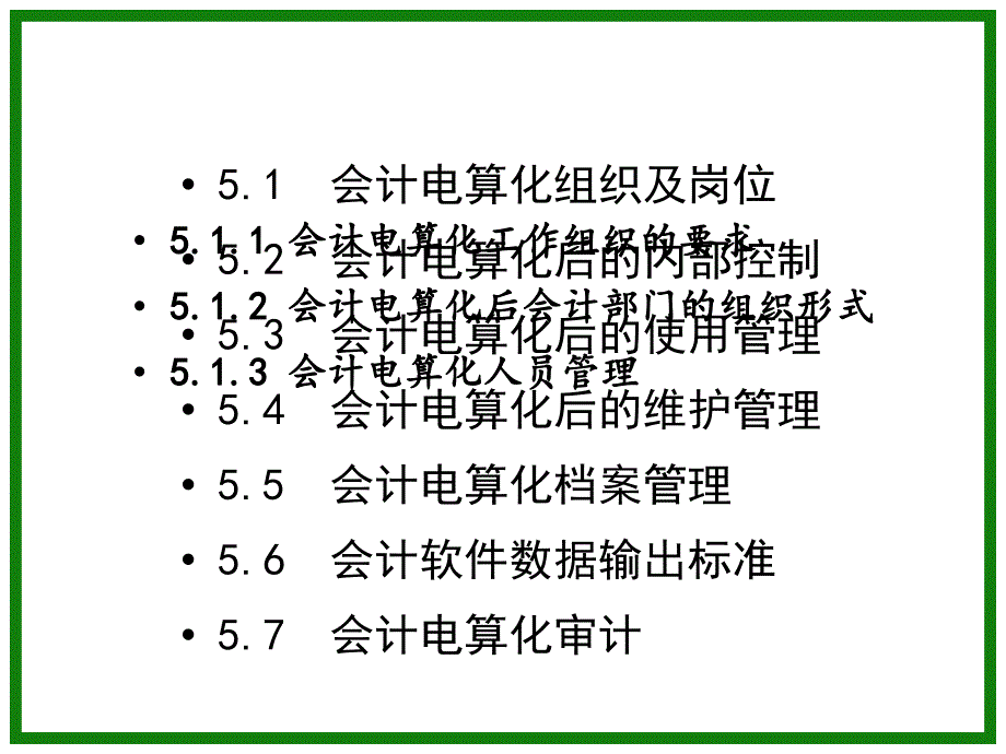 会计电算化后的管理与审计_第4页