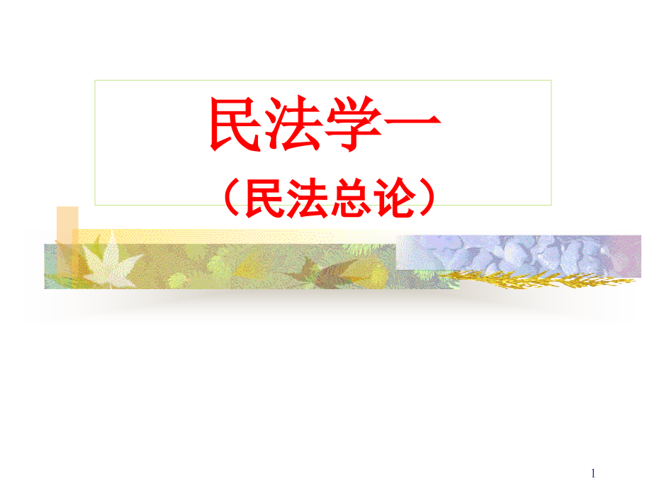 王利明民法学总论课件_第1页
