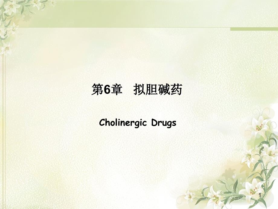 药理学课件：4-第6章-拟胆碱药_第1页