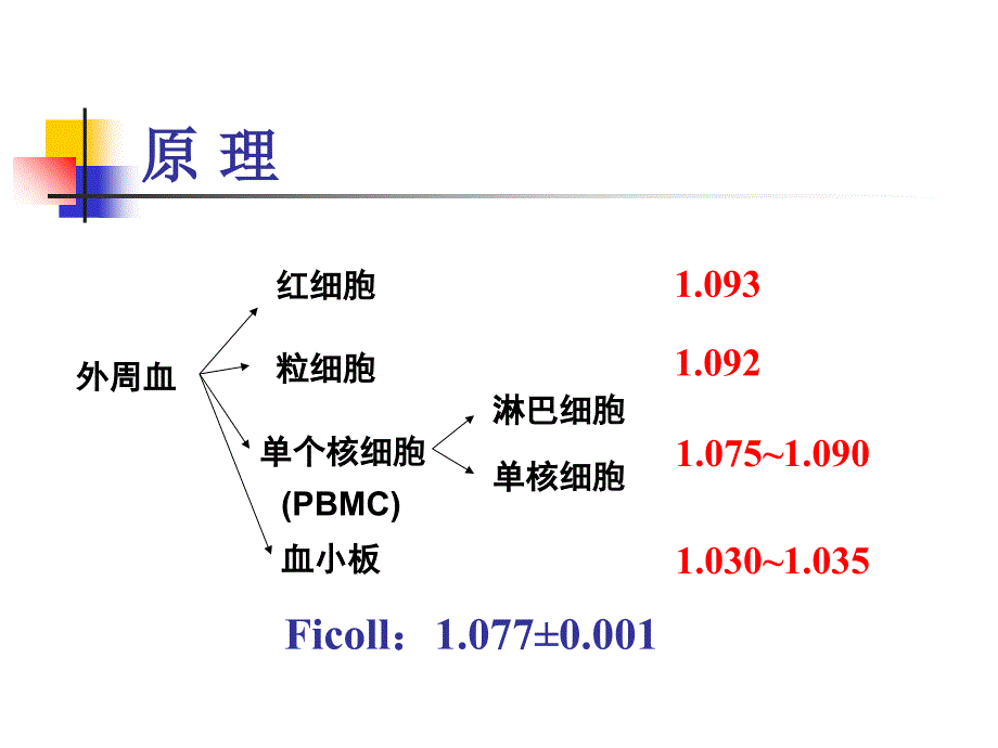 淋巴细胞分离实验知识讲解_第3页