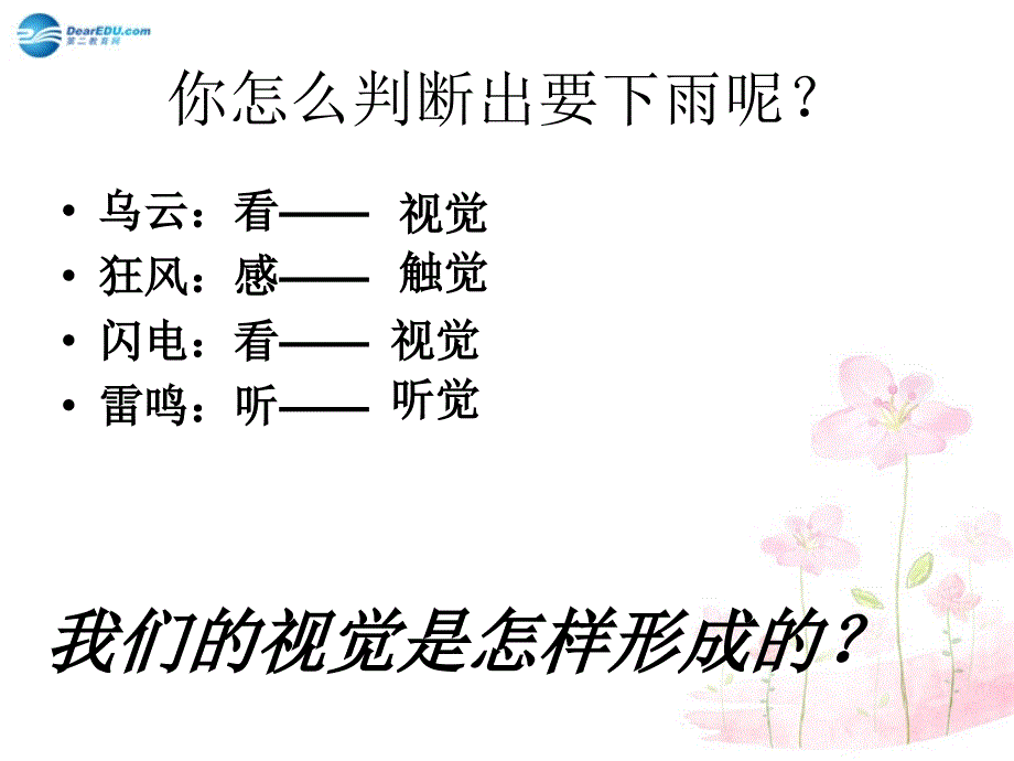 七年级生物下册第十二章第三节人体感知信息课件4（新版）苏教版_第2页