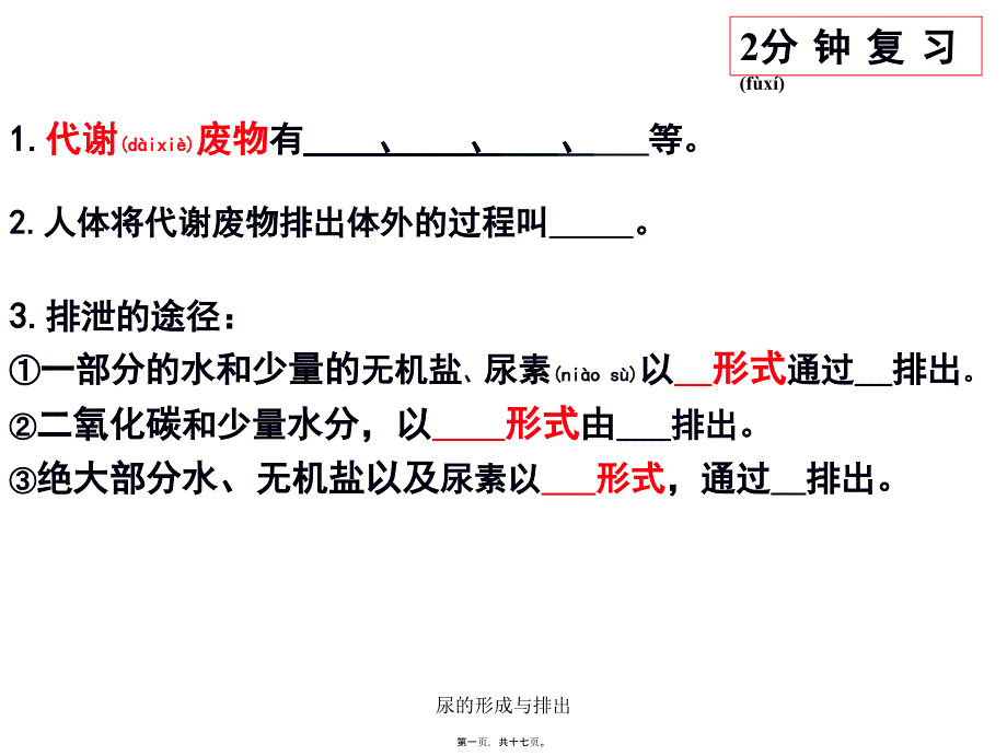 尿的形成与排出课件_第1页