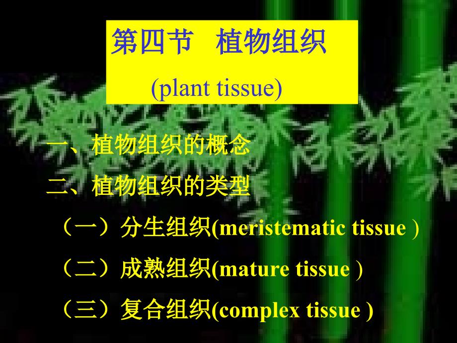 D第一章植物细胞和组织植物组织_第1页